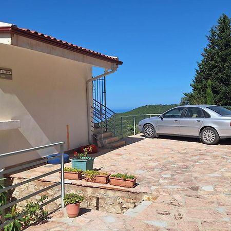 Vila Tatjana Guest House Vuno Bagian luar foto