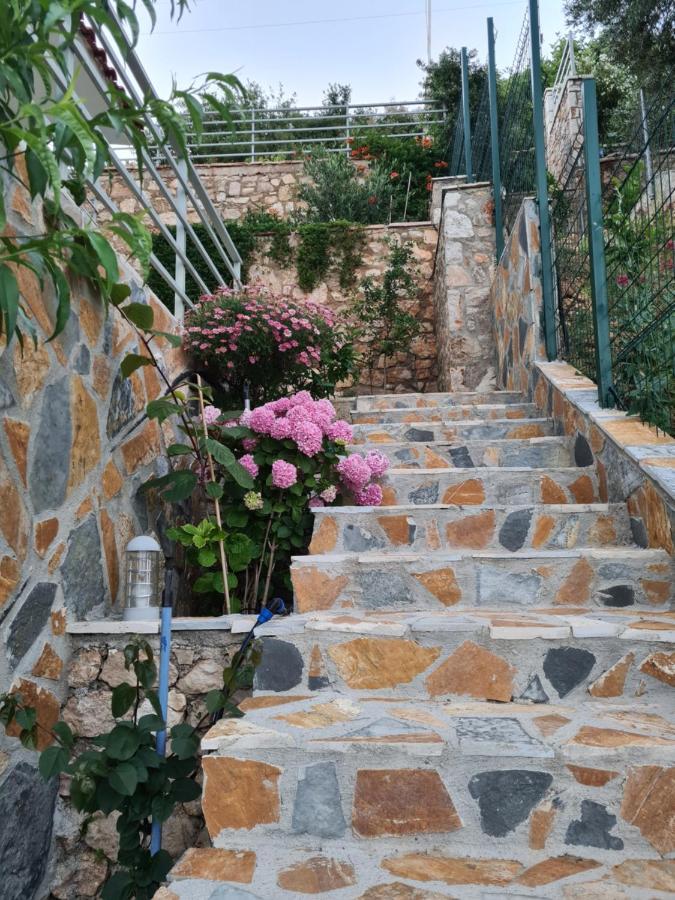 Vila Tatjana Guest House Vuno Bagian luar foto