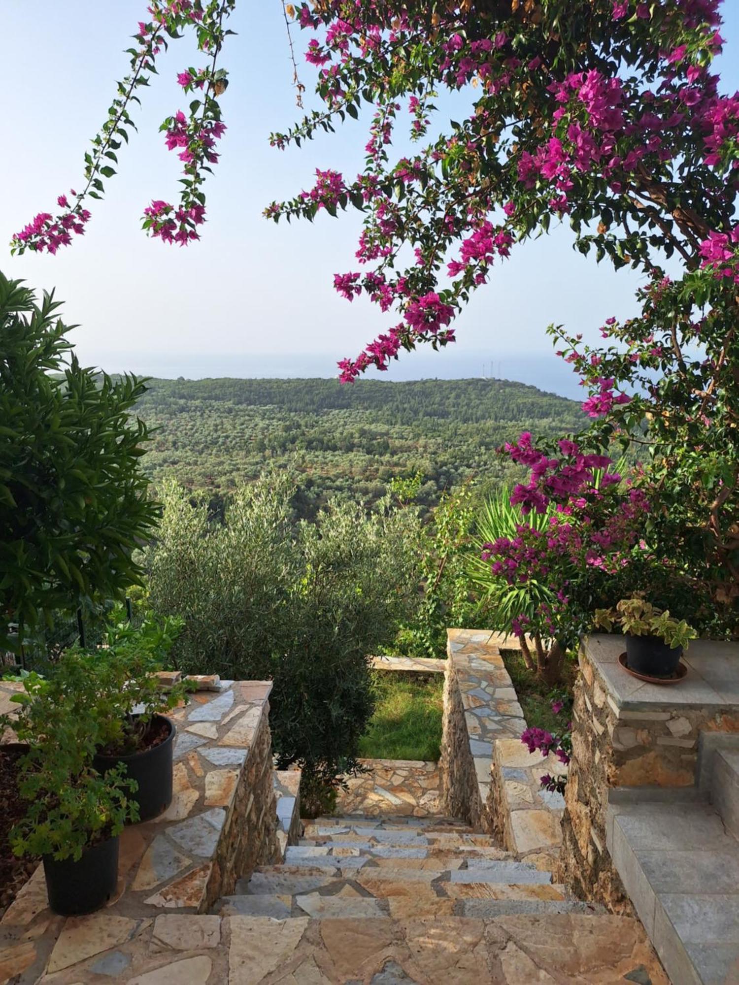 Vila Tatjana Guest House Vuno Bagian luar foto