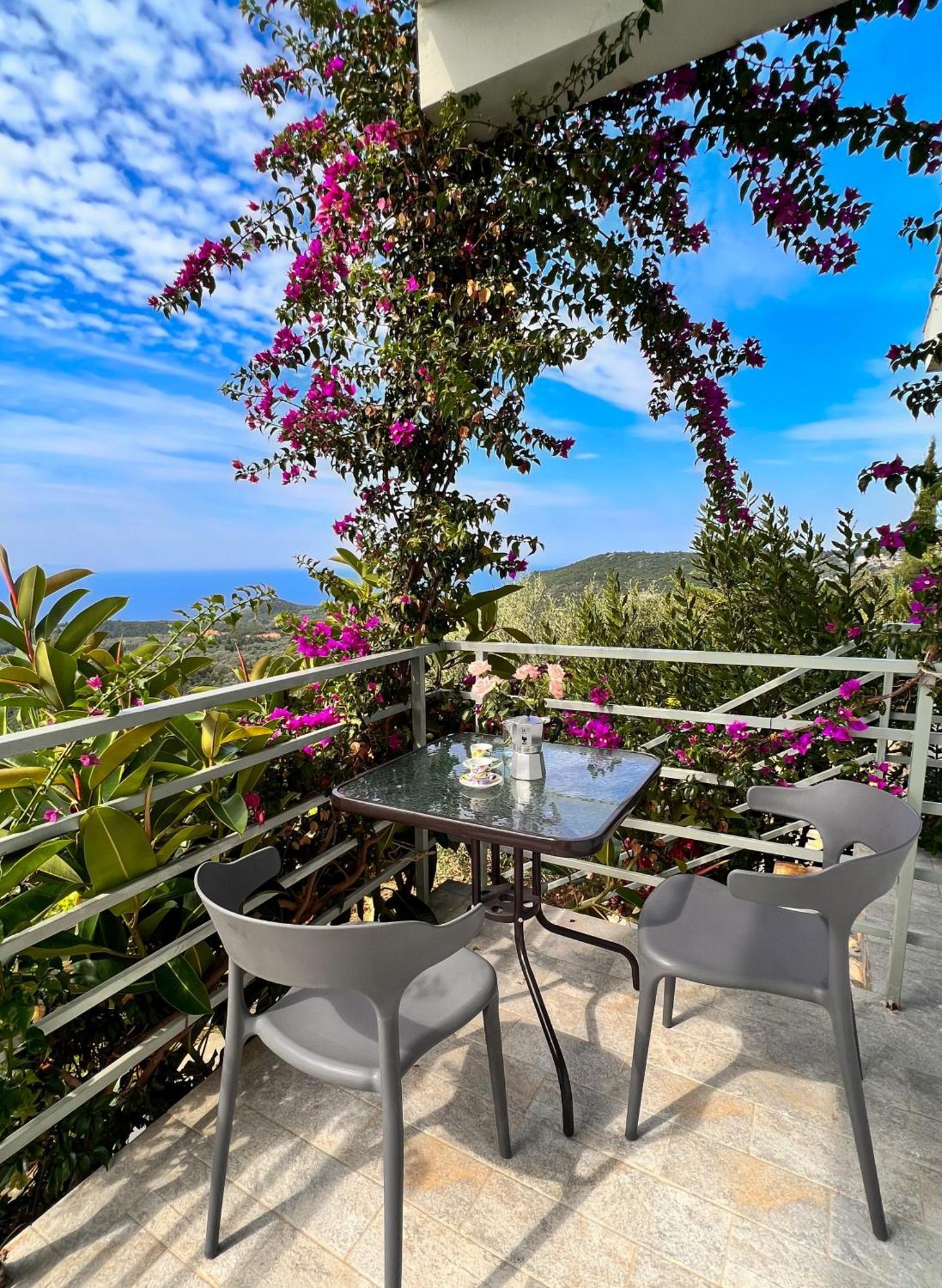Vila Tatjana Guest House Vuno Bagian luar foto